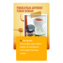 Madu lebah kelulut spesis torocica 300g by KelulutAulia.com