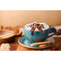 Mac Cafe & Roasted Chocolate Double Frappe